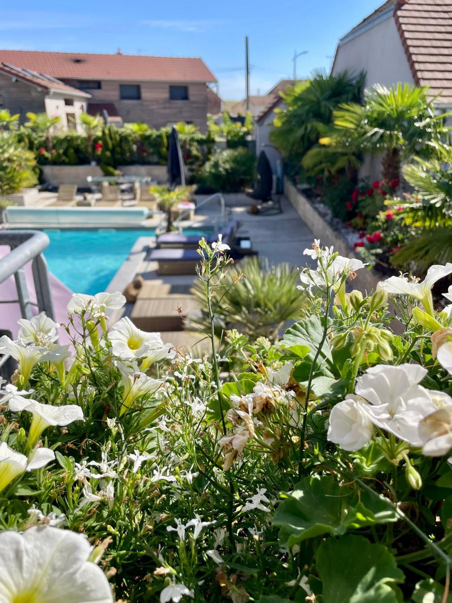 Gite De La Villa De La Croix Avec Piscine Et Parking A 4 Minutes De L'A26 Villechetif Bagian luar foto